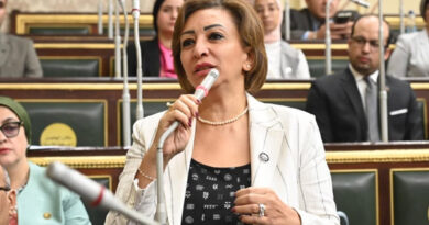 النائبة مها عبدالناصر تحذر من أوضاع عمال التوصيل وتطالب الحكومة بإجراءات عاجلة لحمايتهم