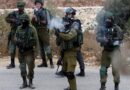 استشهاد صياد فلسطيني برصاص جيش الاحتلال الإسرائيلي وسط قطاع غزة  