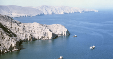 بعد مقتل خامنئي.. قائد بالحرس الثوري الإيراني: إغلاق مضيق هرمز وسنحرق أي سفينة تحاول عبوره بعد مقتل خامنئي.. قائد بالحرس الثوري الإيراني: إغلاق مضيق هرمز وسنحرق أي سفينة تحاول عبوره