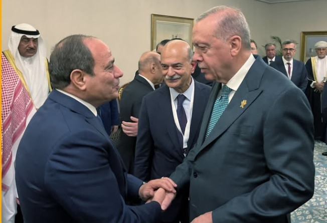 السيسى وأردوغان