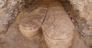 تفاصيل العثور على كشف أثري جديد في المنيا: مقبرة نادرة بها ذهب وتوابيت  